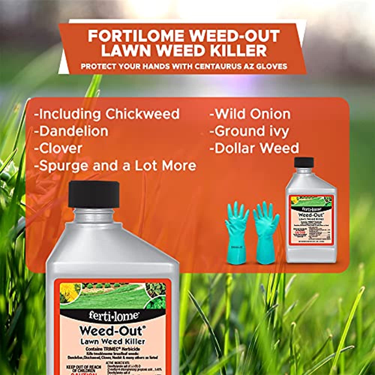 Concentrated Weed Killer for Lawn – 16oz Fertilome Weed-Out Lawn Weed Killer, Kills Broadleaf Weeds, Protect Your Hands with Centaurus AZ Gloves