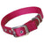 Hamilton Double Thick Nylon Deluxe Dog Collar, 1-Inch by 20-Inch, Red