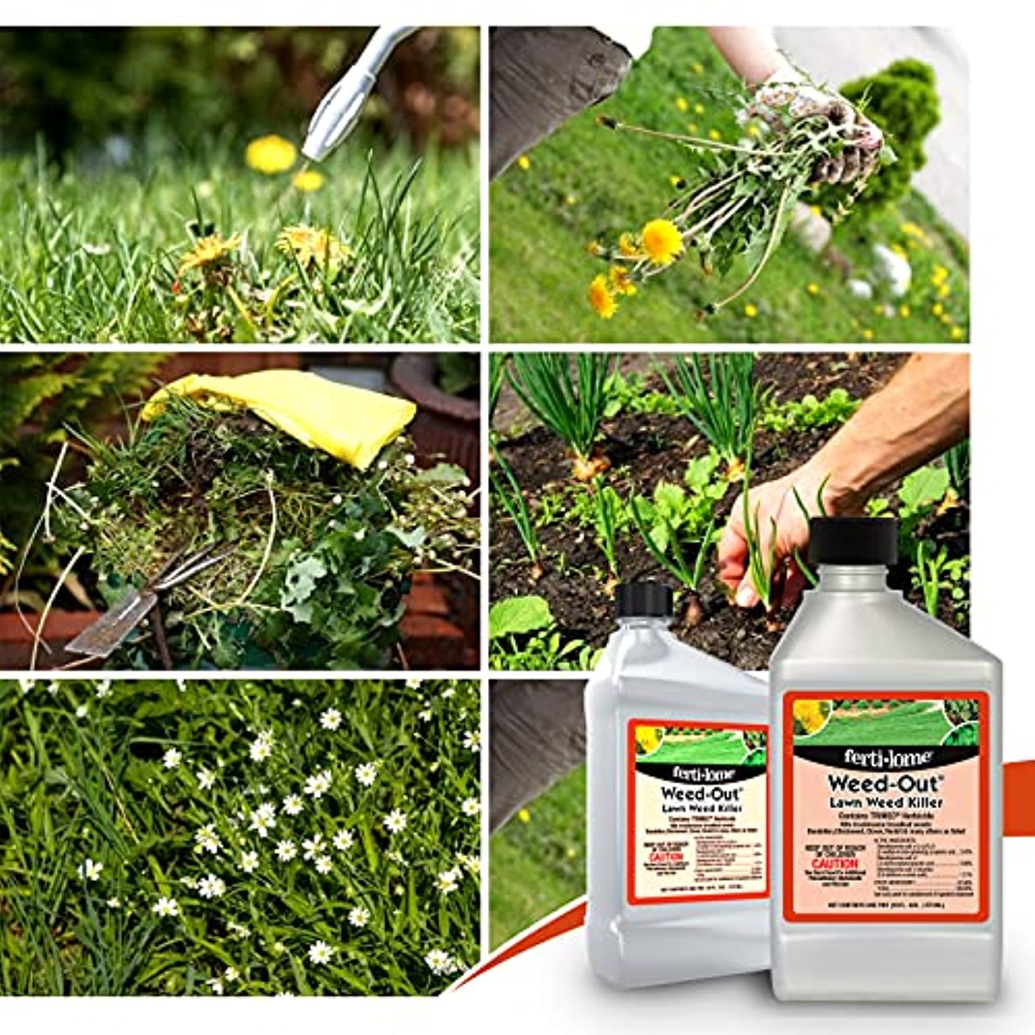 Concentrated Weed Killer for Lawn – 16oz Fertilome Weed-Out Lawn Weed Killer, Kills Broadleaf Weeds, Protect Your Hands with Centaurus AZ Gloves